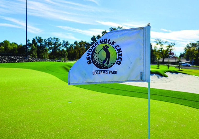 golf flag